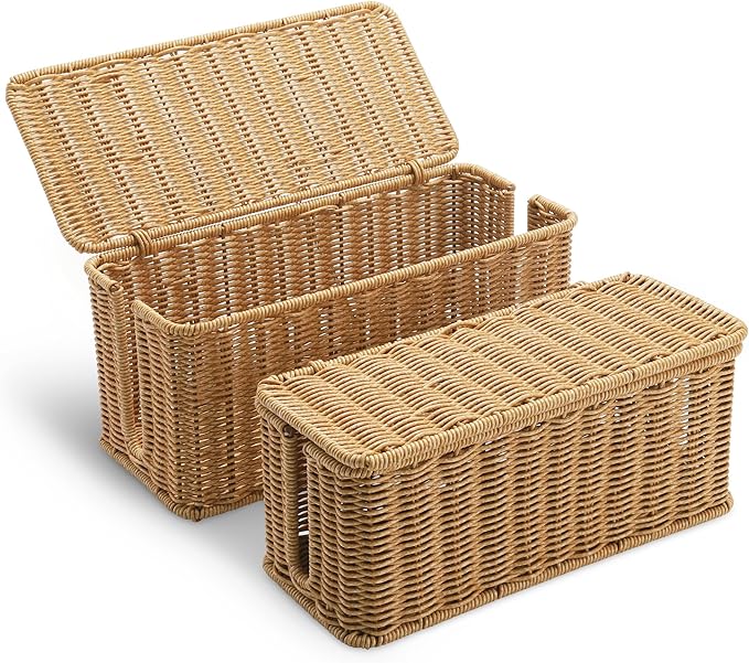 2Pack Large Cable Management Box, Handwoven Imitation Rattan Cord Organizer Cord Hider Box, Cable Organizer Box for Desk, Cord Management Box to Hide Cords and Power Strips