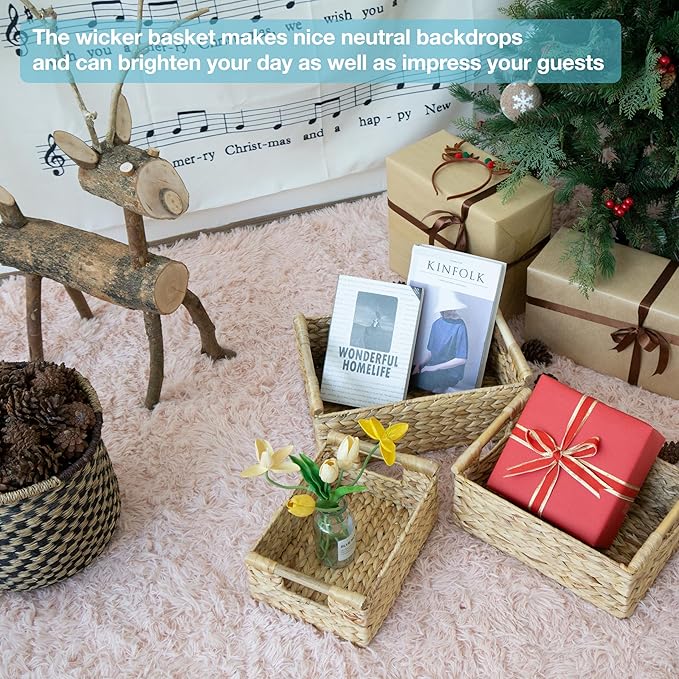 VATIMA Hyacinth Wicker Basket Set 3 size - Rectangular, Wooden Handles, Shelf Organizer, Natural Bins